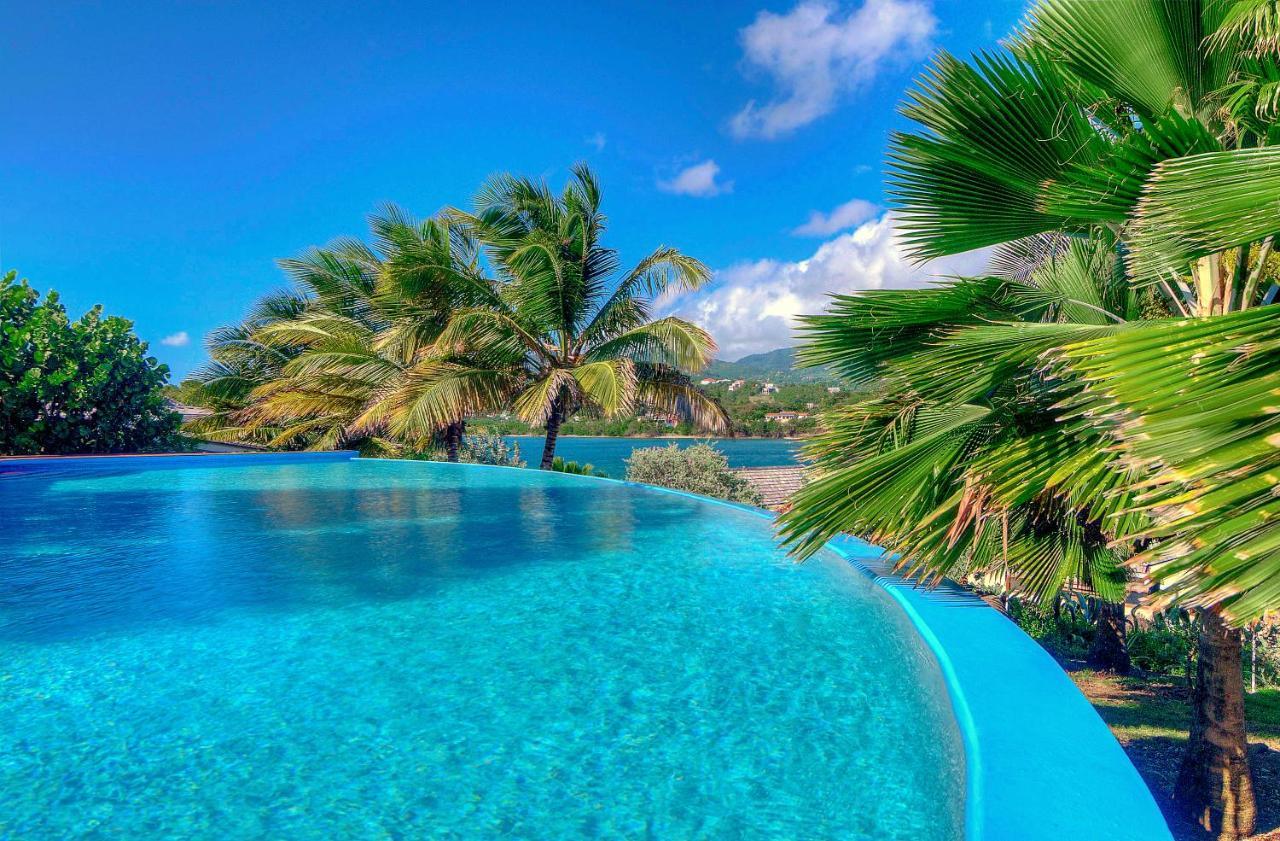473 Grenada Boutique Resort St. George's Dış mekan fotoğraf