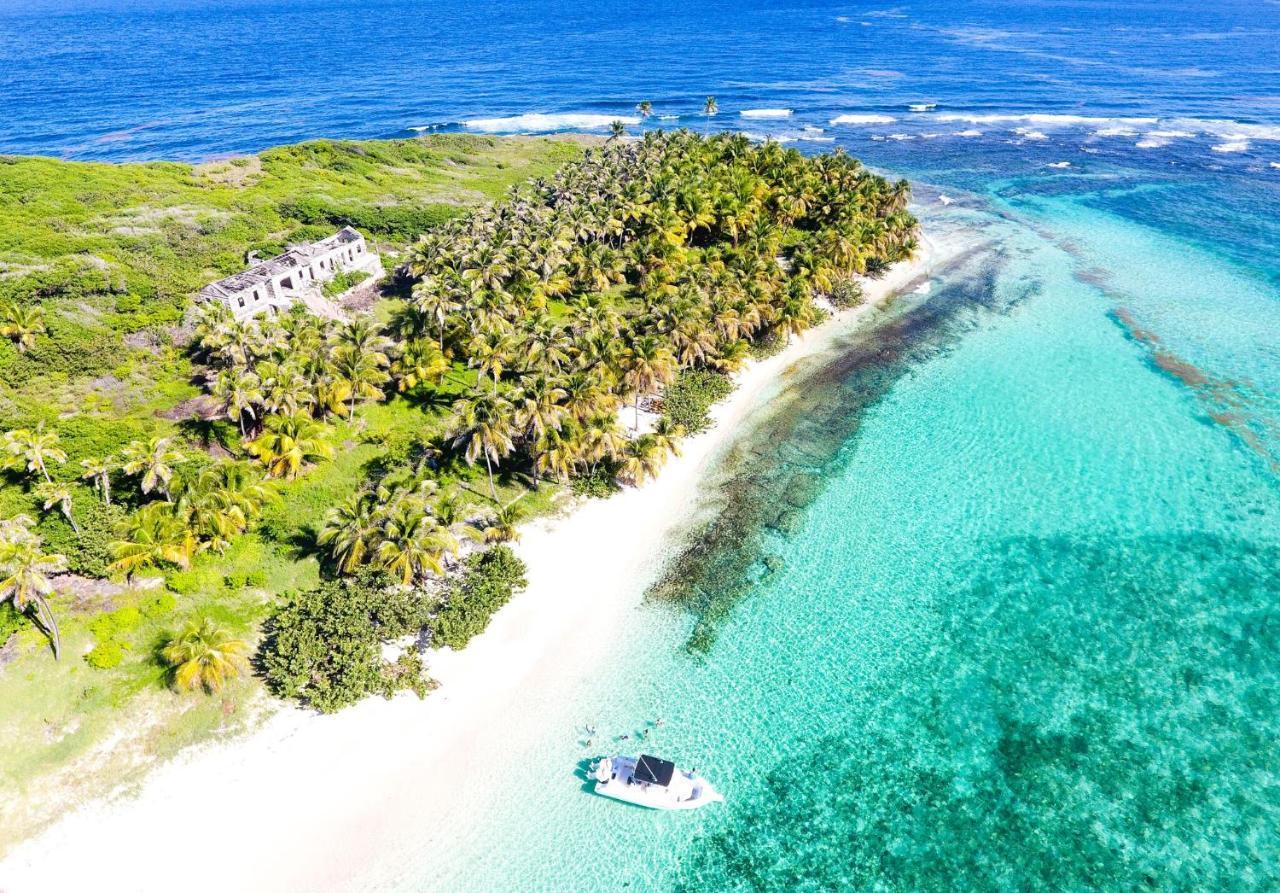 473 Grenada Boutique Resort St. George's Dış mekan fotoğraf